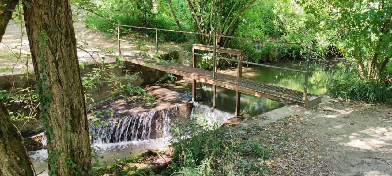 Villas En Chanay Dagneux Εξωτερικό φωτογραφία